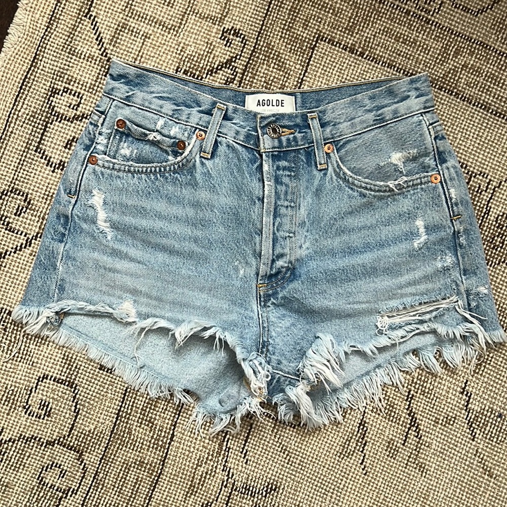 AGOLDE Vintage Cutoff Parker Shorts (Size 24)